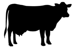 [113557] Savannah Beef Ox Tongue